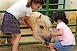 Pécs Zoo: őszre kész a tanulmány Pécs Zoo: őszre kész a tanulmány