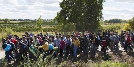 Magyarbólyban újabb félezer migránst szállítottak fel a vonatra szombaton