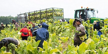 Lázár szerint hazánk agrárország maradt és ez előny Lázár szerint hazánk agrárország maradt és ez előny