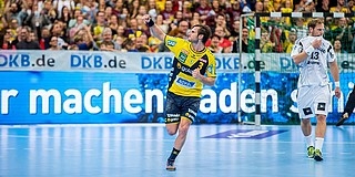 Kivégezték az oroszlánok a zebrákat Kivégezték az oroszlánok a zebrákat