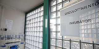 Új esélyt kapott az életre a gyermekklinika inkubátorában hagyott kisfiú, Lukács Új esélyt kapott az életre a gyermekklinika inkubátorában hagyott kisfiú, Lukács