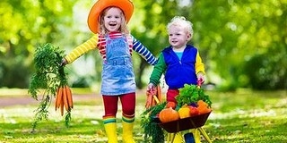 Hogyan tanítható az egészséges táplálkozás gyermekkorban? Hogyan tanítható az egészséges táplálkozás gyermekkorban?