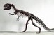 Hatalmasra tudta tátani a száját az Allosaurus
