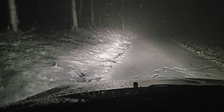 Éjszaka nagy pelyhekben esett a hó a Mecseken, ma akár újabb havazás is lehet Éjszaka nagy pelyhekben esett a hó a Mecseken, ma akár újabb havazás is lehet