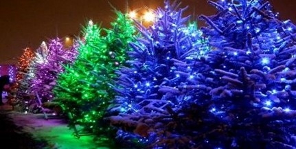 Idén Romonyán építi fel az Angyalok Erdejét a Szemem Fénye Alapítvány Idén Romonyán építi fel az Angyalok Erdejét a Szemem Fénye Alapítvány