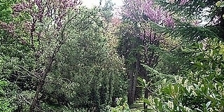 Így tartanak nyitva a nemzeti park bemutatóhelyei Így tartanak nyitva a nemzeti park bemutatóhelyei