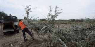 Huszonötezer közfoglalkoztatott kaphat támogatást Huszonötezer közfoglalkoztatott kaphat támogatást