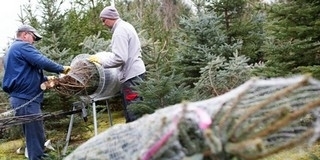 Karácsonyi ellenőrzések: nem voltak nagy bukták, szándékosan nem verték át a vevőket Karácsonyi ellenőrzések: nem voltak nagy bukták, szándékosan nem verték át a vevőket