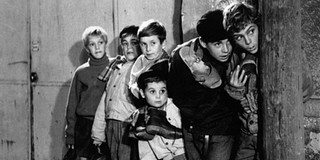 Gombokkal háborúznak a Művészetek és Irodalom Házában Gombokkal háborúznak a Művészetek és Irodalom Házában
