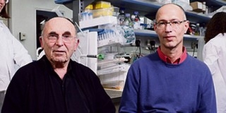 Izraeli orvosok fejleszthetik ki a HIV-vírus ellenszerét Izraeli orvosok fejleszthetik ki a HIV-vírus ellenszerét