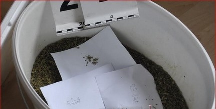 Interneten árulta a drogot két sellyei férfi, több ezer csomagot adtak postára Interneten árulta a drogot két sellyei férfi, több ezer csomagot adtak postára