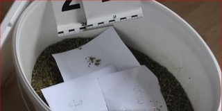 Interneten árulta a drogot két sellyei férfi, több ezer csomagot adtak postára Interneten árulta a drogot két sellyei férfi, több ezer csomagot adtak postára