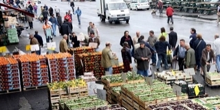 Az állatokra is veszélyes lehet a silány élelmiszer Az állatokra is veszélyes lehet a silány élelmiszer