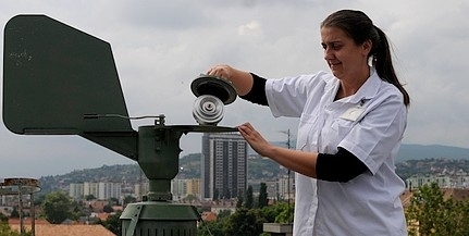 A hideg, csapadékos időben kevesebb a pollen A hideg, csapadékos időben kevesebb a pollen