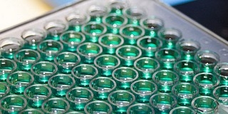 Dán cég vásárolta fel a pécsi biotechnológiai vállalkozást Dán cég vásárolta fel a pécsi biotechnológiai vállalkozást