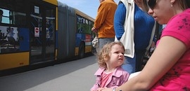 Érdeklődés hiányában elmarad Érdeklődés hiányában elmarad