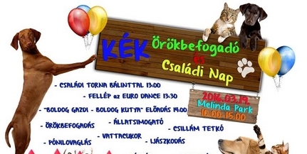 Örökbefogadó napot tartanak az állatvédők Pécsett Örökbefogadó napot tartanak az állatvédők Pécsett