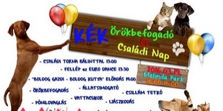 Örökbefogadó napot tartanak az állatvédők Pécsett Örökbefogadó napot tartanak az állatvédők Pécsett
