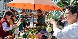 Még hétfőn is ki lehet váltani az őstermelői igazolványt Még hétfőn is ki lehet váltani az őstermelői igazolványt