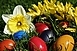 A húsvét egyben a természet újjáéledésének ünnepe