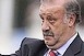 Del Bosque az új spanyol kapitány