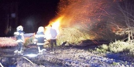 Öt órán át égettek a tűzoltók Baksa közelében Öt órán át égettek a tűzoltók Baksa közelében