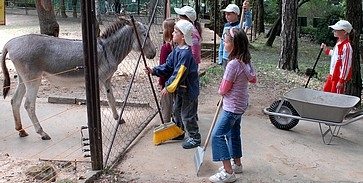 Zoo-tábor a Pécsi Állatkertben Zoo-tábor a Pécsi Állatkertben