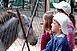 Zoo-tábor a Pécsi Állatkertben Zoo-tábor a Pécsi Állatkertben