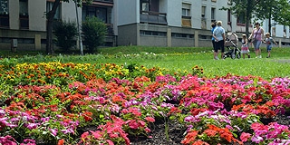 Keresztelő előtt: sétányt neveznek el a Kertvárosban a világrekord felállításának emlékére Keresztelő előtt: sétányt neveznek el a Kertvárosban a világrekord felállításának emlékére