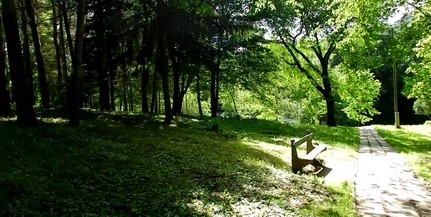 Már az arborétumban is futhatnak a komlóiak Már az arborétumban is futhatnak a komlóiak