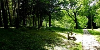 Már az arborétumban is futhatnak a komlóiak Már az arborétumban is futhatnak a komlóiak