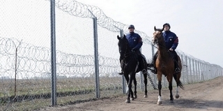 Baranyában is bevezették keddtől a mélységi határőrizetet, hogy feltartóztassák a migránsokat Baranyában is bevezették keddtől a mélységi határőrizetet, hogy feltartóztassák a migránsokat