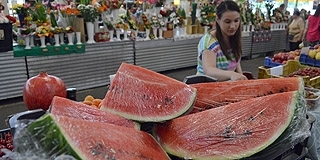 Külföldön is megvesznek a magyar görögdinnyéért