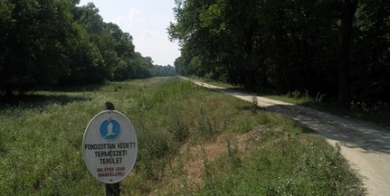 Megmentette egy nő életét a nemzeti park dolgozója Megmentette egy nő életét a nemzeti park dolgozója