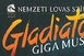 A siklósi várban mutatják be először szabadtéren a Gladiátor című előadást A siklósi várban mutatják be először szabadtéren a Gladiátor című előadást