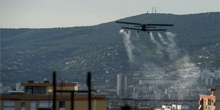 Keddtől irtják a szúnyogokat Pécs teljes területén Keddtől irtják a szúnyogokat Pécs teljes területén