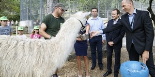 Üdítőbb lesz a séta a Pécsi Állatkertben: tettyei karsztvíz frissíti ezentúl a látogatókat Üdítőbb lesz a séta a Pécsi Állatkertben: tettyei karsztvíz frissíti ezentúl a látogatókat