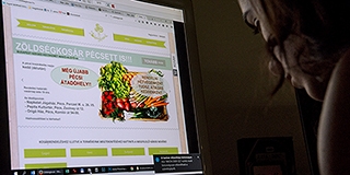 Pécsi termelőktől is vásárolhatunk vegyszermentes zöldségeket az interneten – házhoz viszik Pécsi termelőktől is vásárolhatunk vegyszermentes zöldségeket az interneten – házhoz viszik
