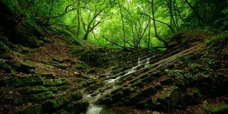 Izgalmas dzsungeltúrán vehetnek részt a kalandvágyók