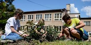 26 ezer diák dolgozik nyáron önkormányzatoknál 26 ezer diák dolgozik nyáron önkormányzatoknál