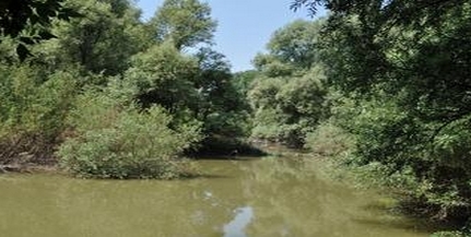 Más útvonalon halad a nemzeti park dzsungeltúrája Más útvonalon halad a nemzeti park dzsungeltúrája