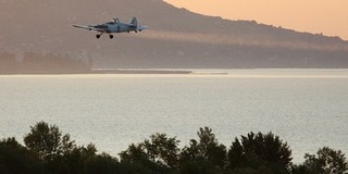 Szúnyogirtással is készülnek az ünnepre a Balatonon Szúnyogirtással is készülnek az ünnepre a Balatonon