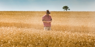 Októberben indulhat az agrártámogatások előlegfizetése Októberben indulhat az agrártámogatások előlegfizetése