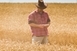 Októberben indulhat az agrártámogatások előlegfizetése Októberben indulhat az agrártámogatások előlegfizetése