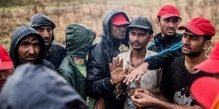 Hercegszántónál áttörték a kerítést a migránsok - özönlenek a Mohács-szigetre Hercegszántónál áttörték a kerítést a migránsok - özönlenek a Mohács-szigetre