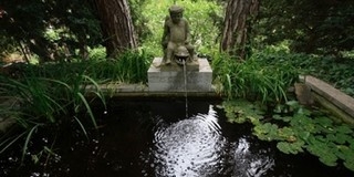 A Pintér-kertben olvasgathatunk az „Olvasás Világnapján