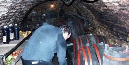 Így előzhetjük meg szüretkor a mustgázmérgezést Így előzhetjük meg szüretkor a mustgázmérgezést