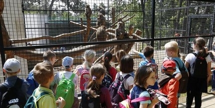 Látványetetéssel és bemutatókkal készül az állatkert az Állatok Világnapjára