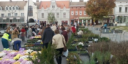 Újra szabad lesz a virágvásár a Kossuth téren, ritkaságokat is beszerezhetünk Újra szabad lesz a virágvásár a Kossuth téren, ritkaságokat is beszerezhetünk
