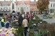 Újra szabad lesz a virágvásár a Kossuth téren, ritkaságokat is beszerezhetünk Újra szabad lesz a virágvásár a Kossuth téren, ritkaságokat is beszerezhetünk